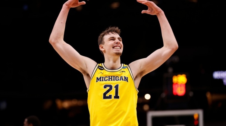 以上内容仍 以上内容仍