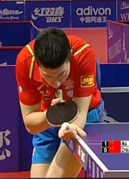 签约纽约大 签约纽约大